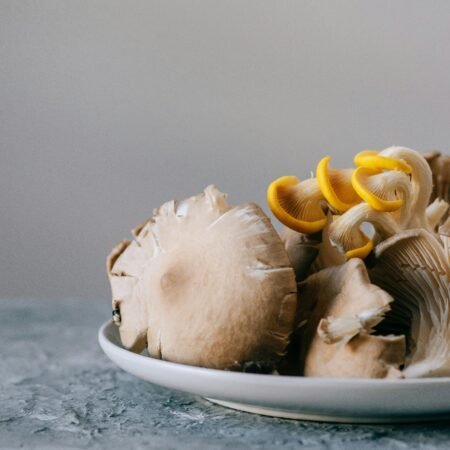Enoki Mushroom